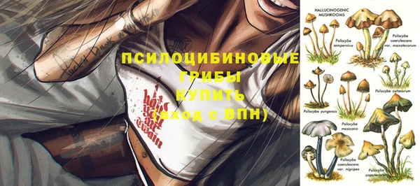 мескалин Новозыбков
