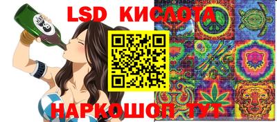 СК Моздок