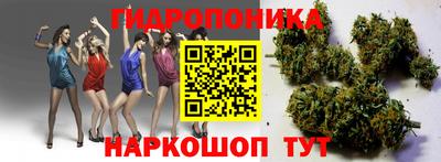 эйфоретик Можга