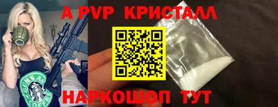 СК Моздок