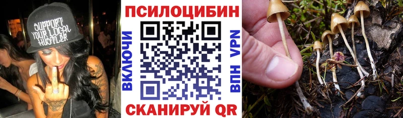 МЕГА онион  купить   Белгород  Галлюциногенные грибы GOLDEN TEACHER 