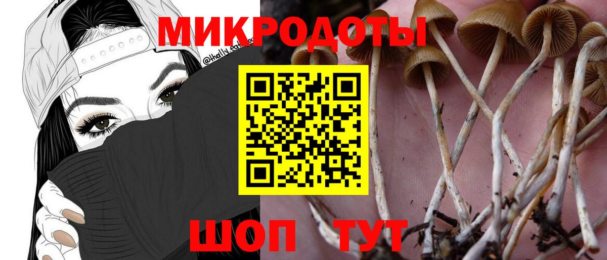 Псилоцибиновые грибы мухоморы  Вход с VPN  Галлюциногенные грибы Magic Shrooms  Белгород 